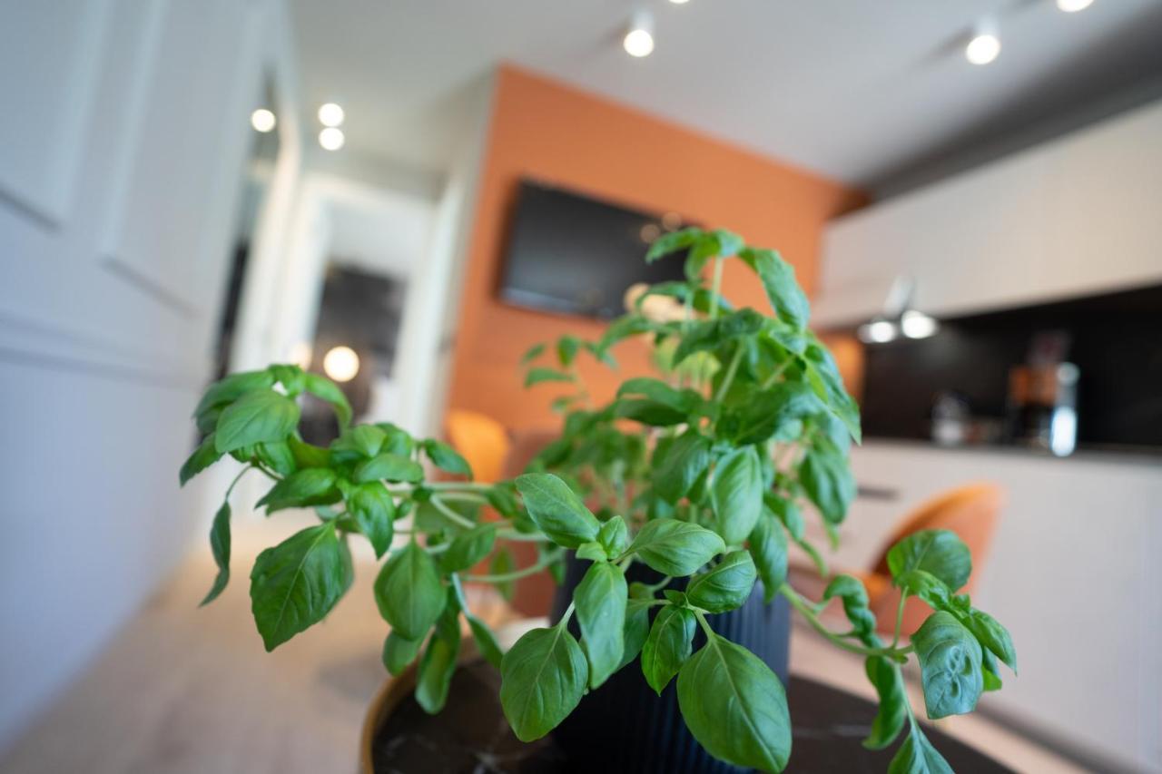 Prestige Studio Apartment Rovinj Zewnętrze zdjęcie